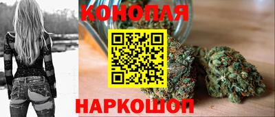 СК Владивосток