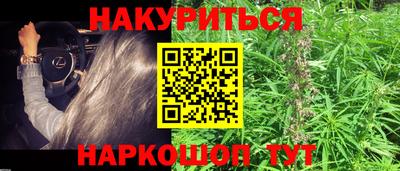 СК Владивосток